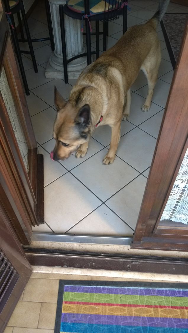 Le comodità della vita.12