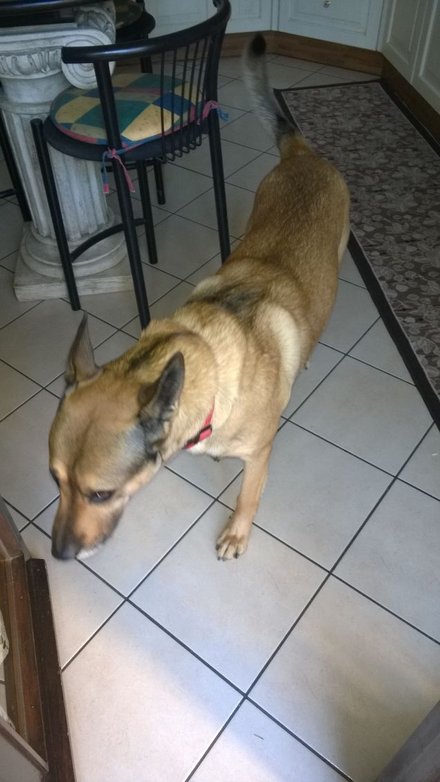 Le comodità della vita.13