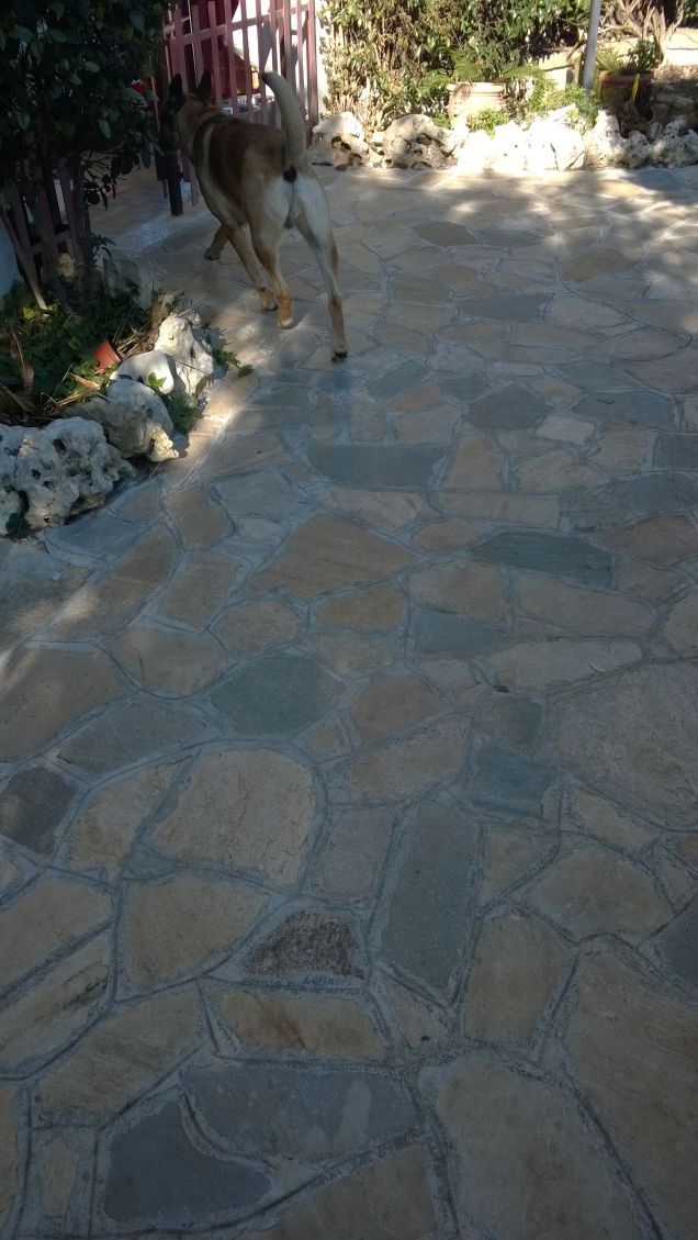 Le comodità della vita.14