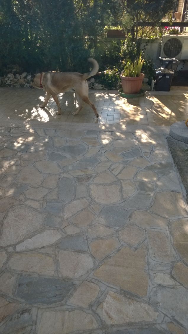 Le comodità della vita.15