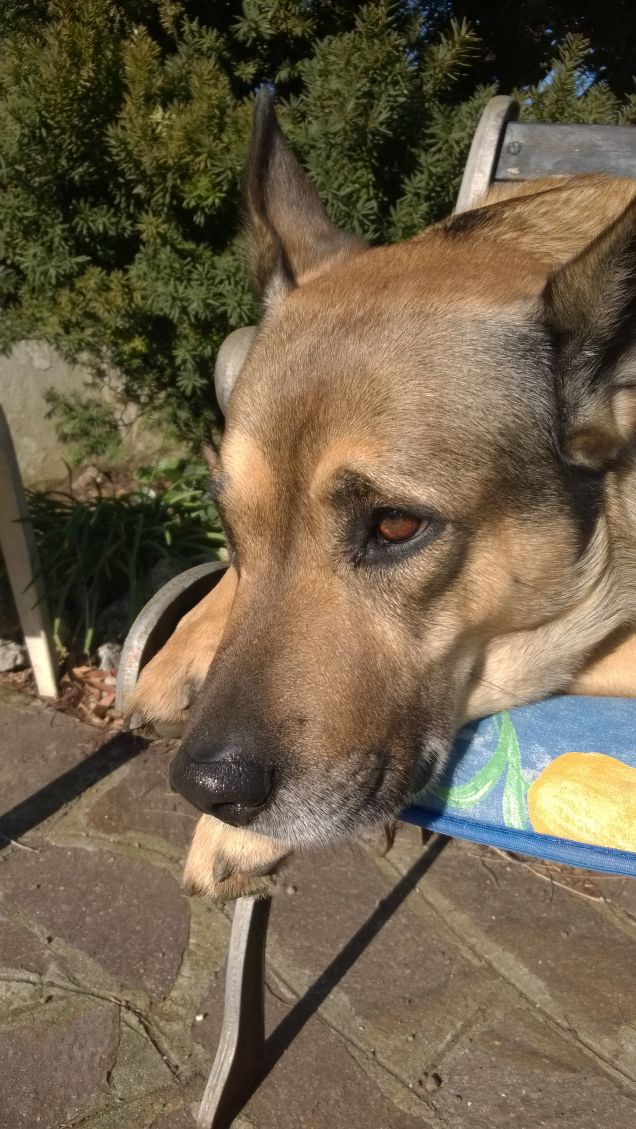 Le comodità della vita.17