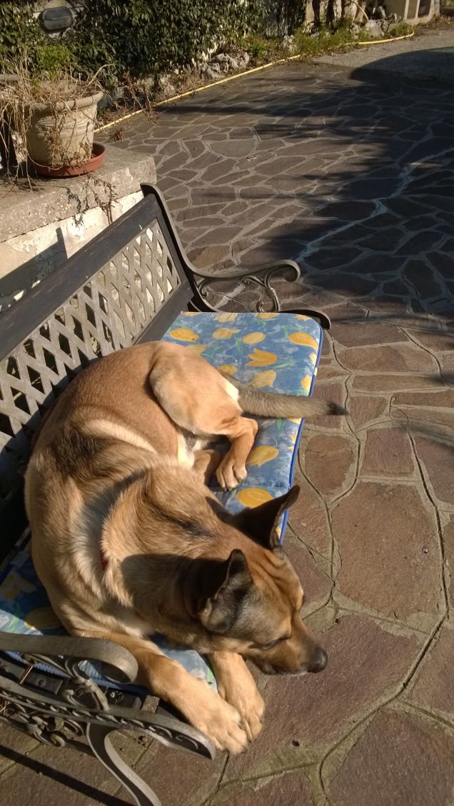 Le comodità della vita.20