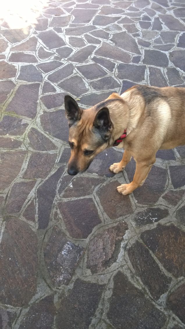 Guardiamo al futuro.