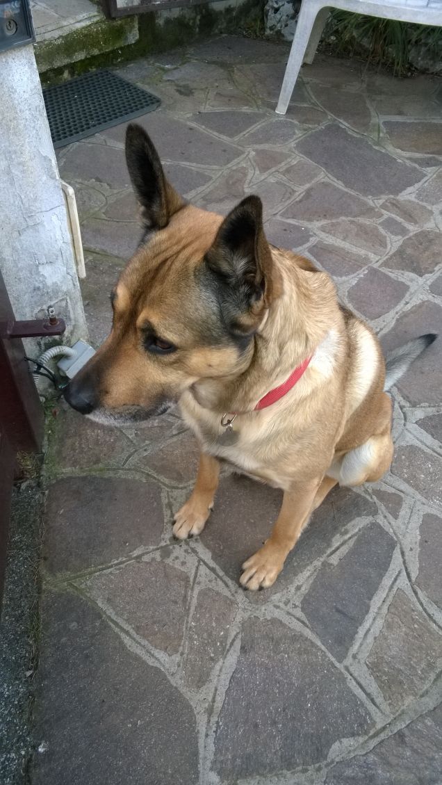 Pazientemente aspetto.