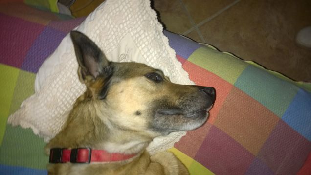 Sveglia dormiglione.