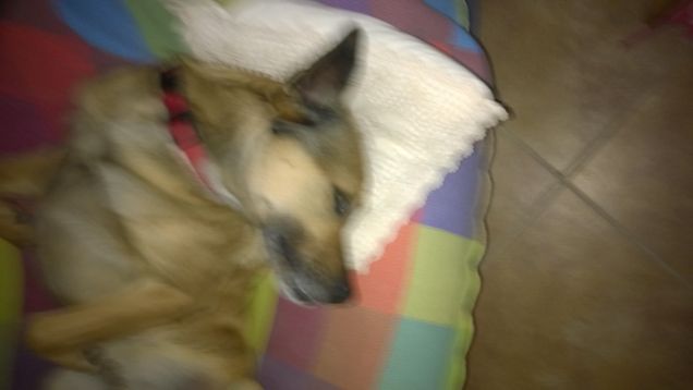 Me lo fai da modello?