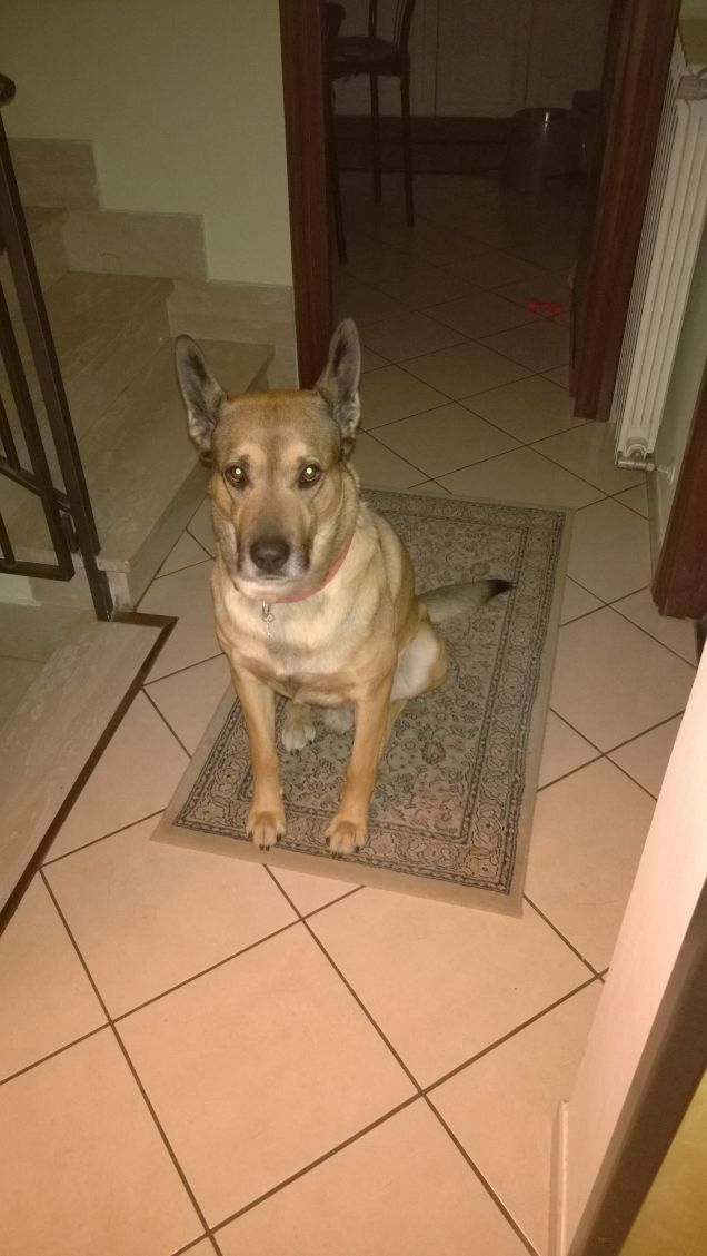 Bello fresco e riposato1