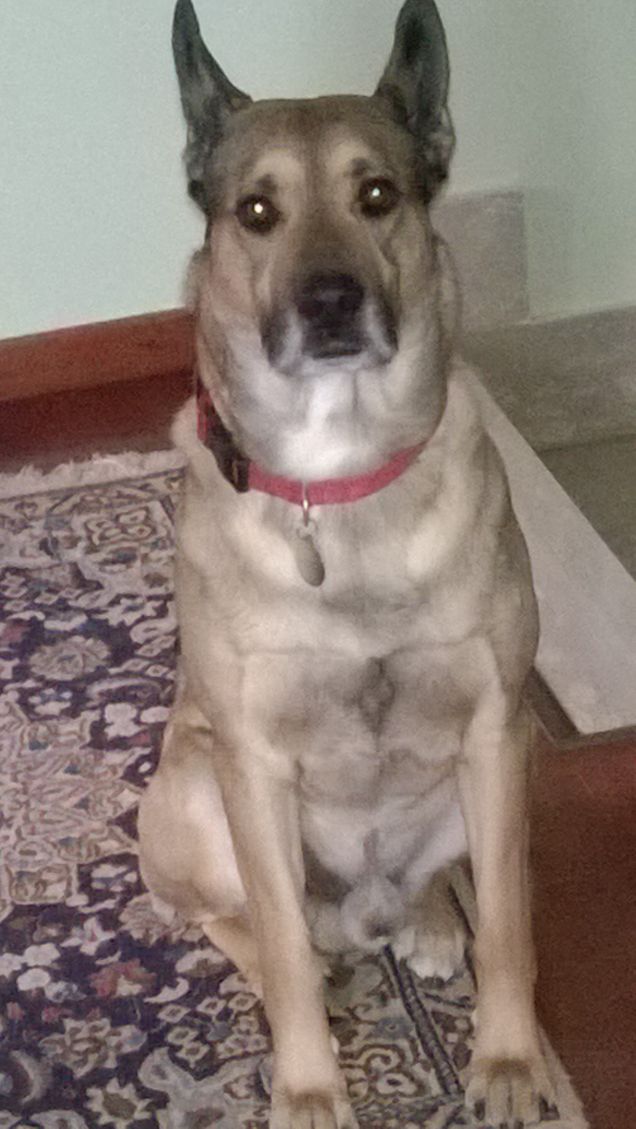 Bello fresco e riposato3