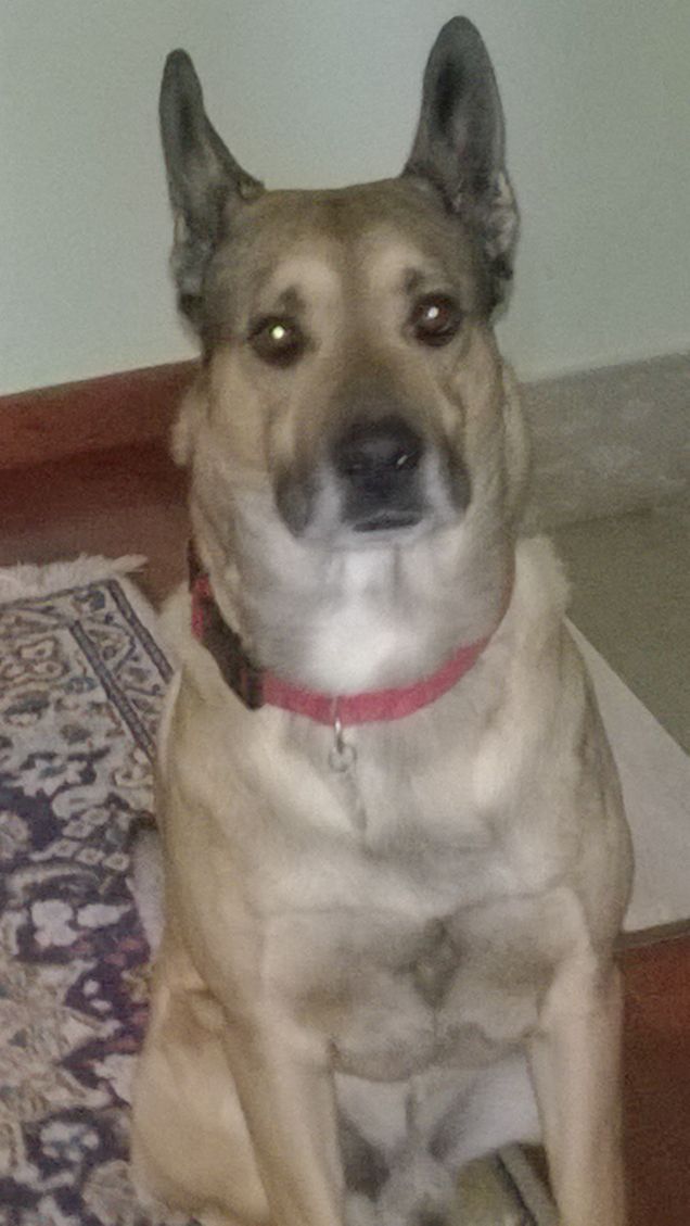 Bello fresco e riposato4