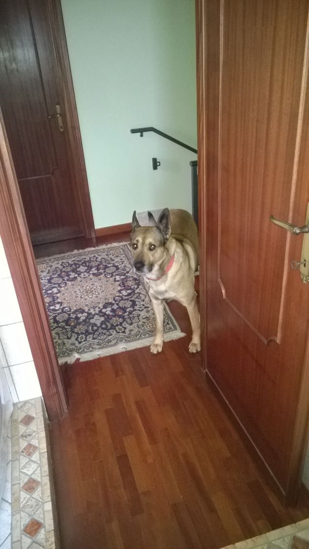 Bello fresco e riposato5