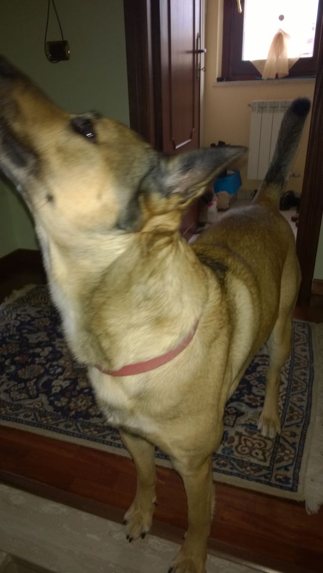 Bello fresco e riposato7