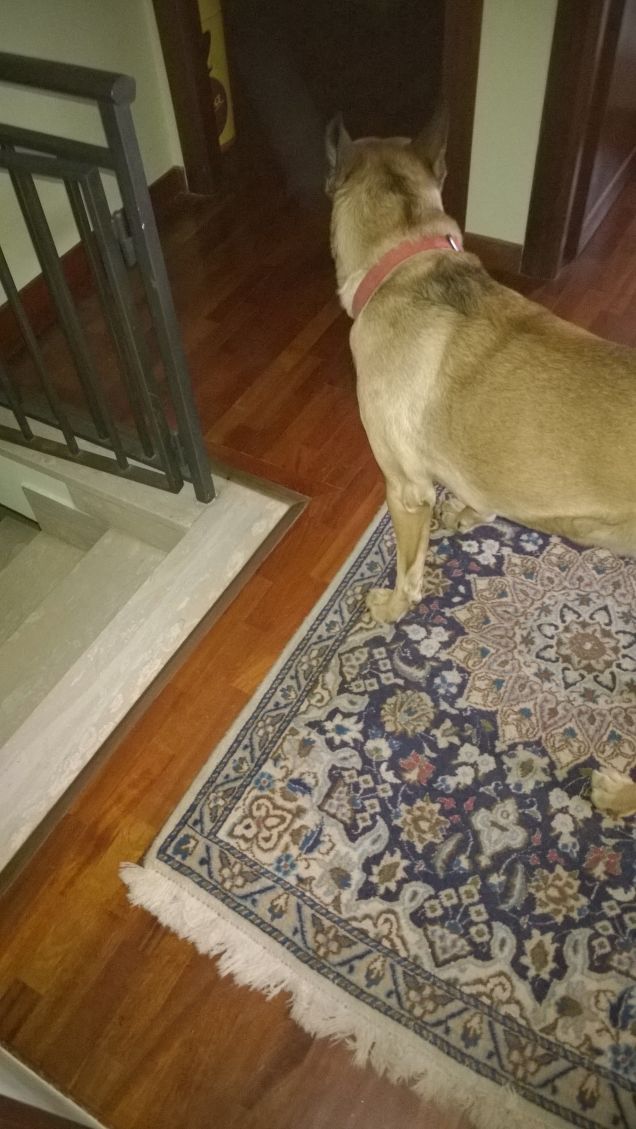 Bello fresco e riposato9