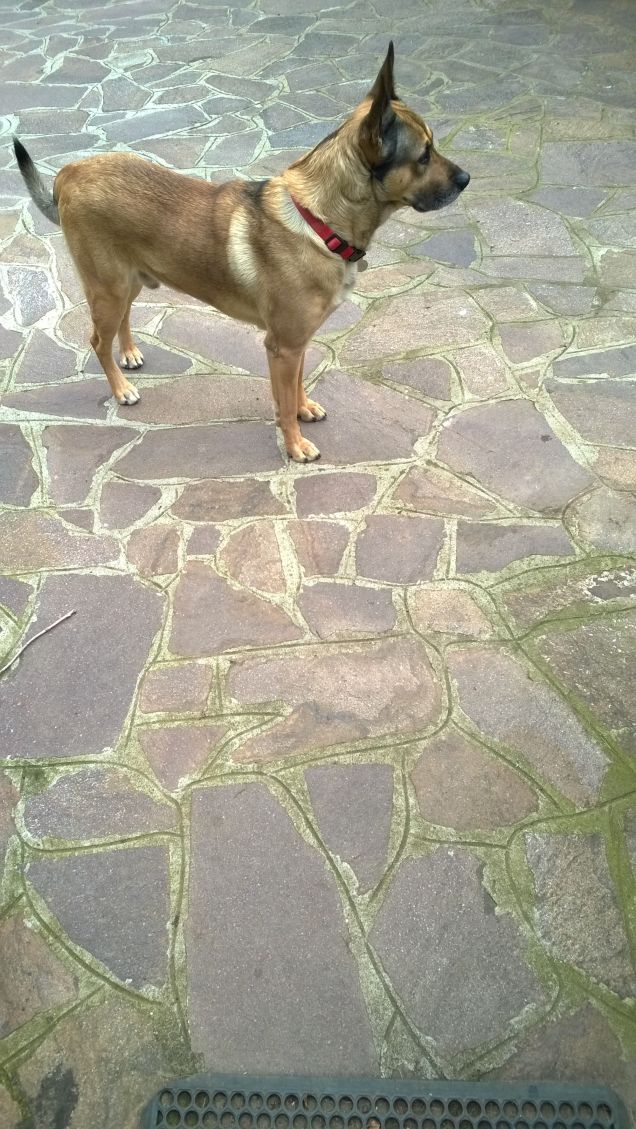 In assetto di guerra.