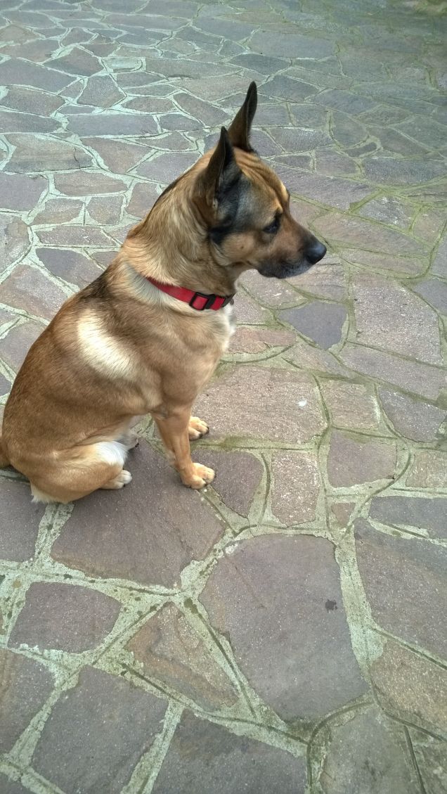 E come dicono a Napoli...Sto assettato.