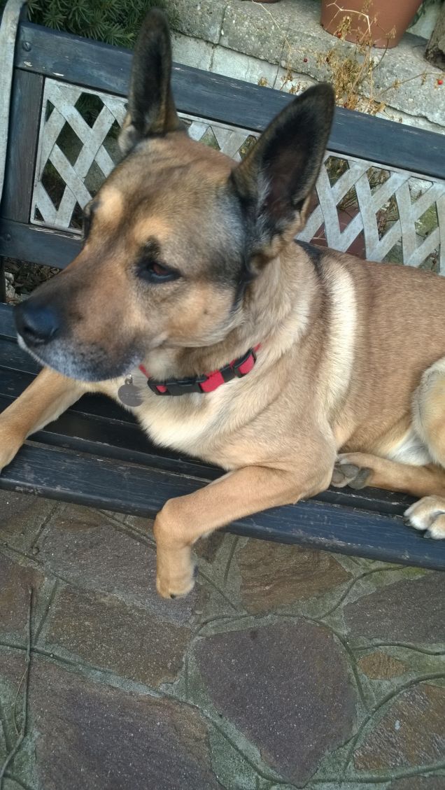 Mi sono messo in panchina.