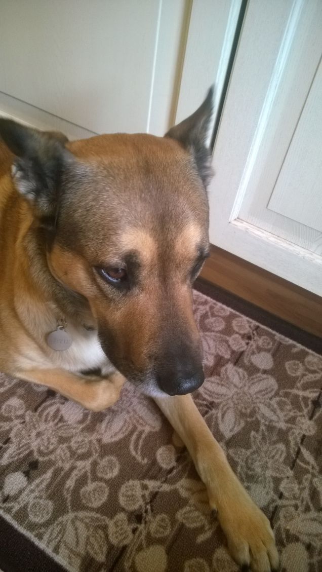 Artù mi piaci sempre di più.