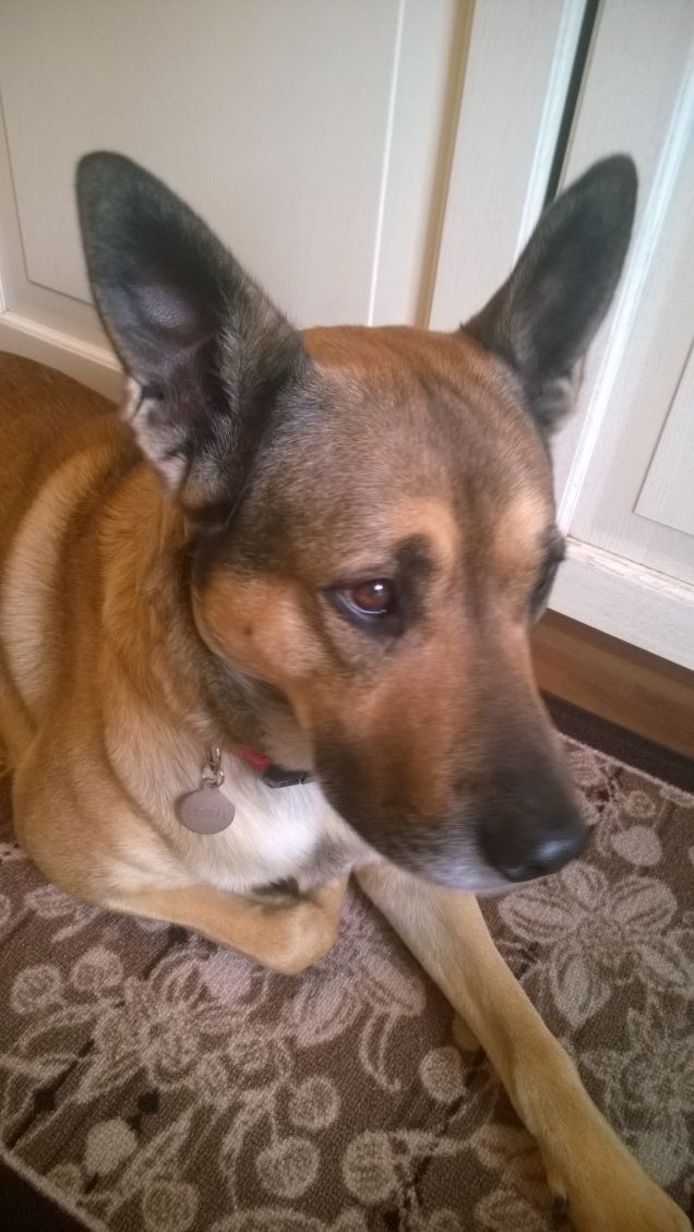 Artù il mio amore sei tu.