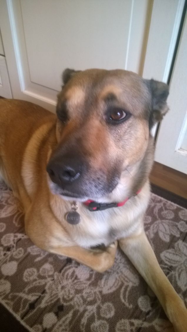 Artù e ti guardo di più.