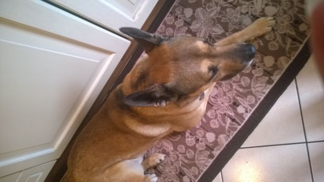 Artù sdraiato laggiù.