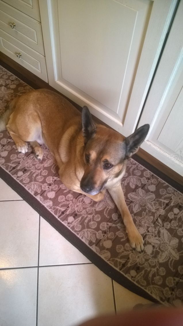 E finalmente è Sabato.