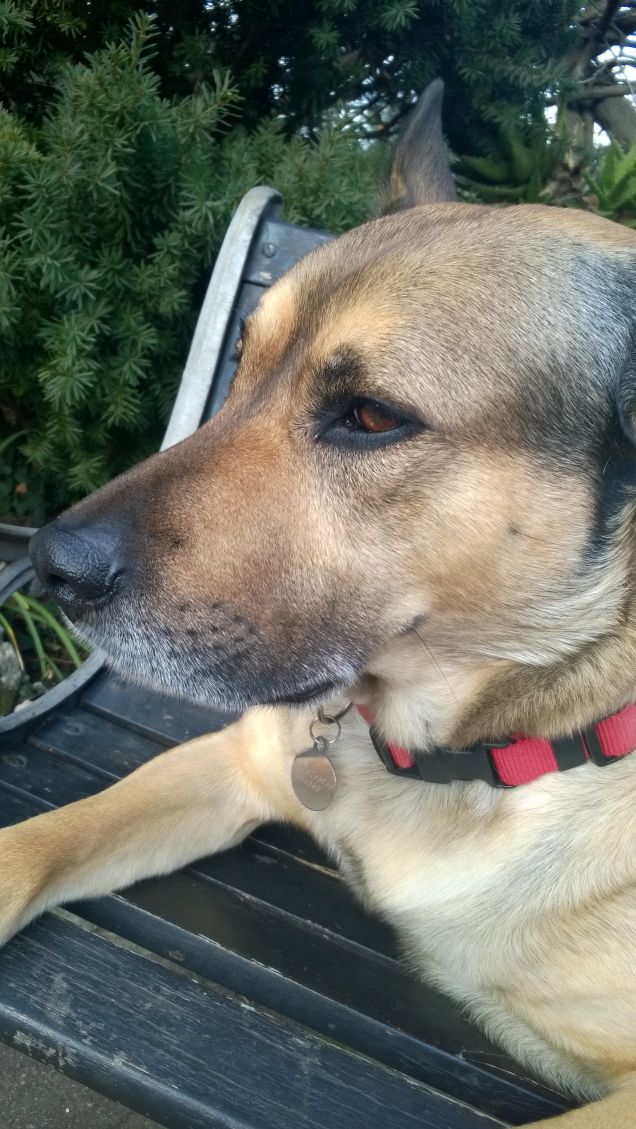 Artù il mio Re sei tu.