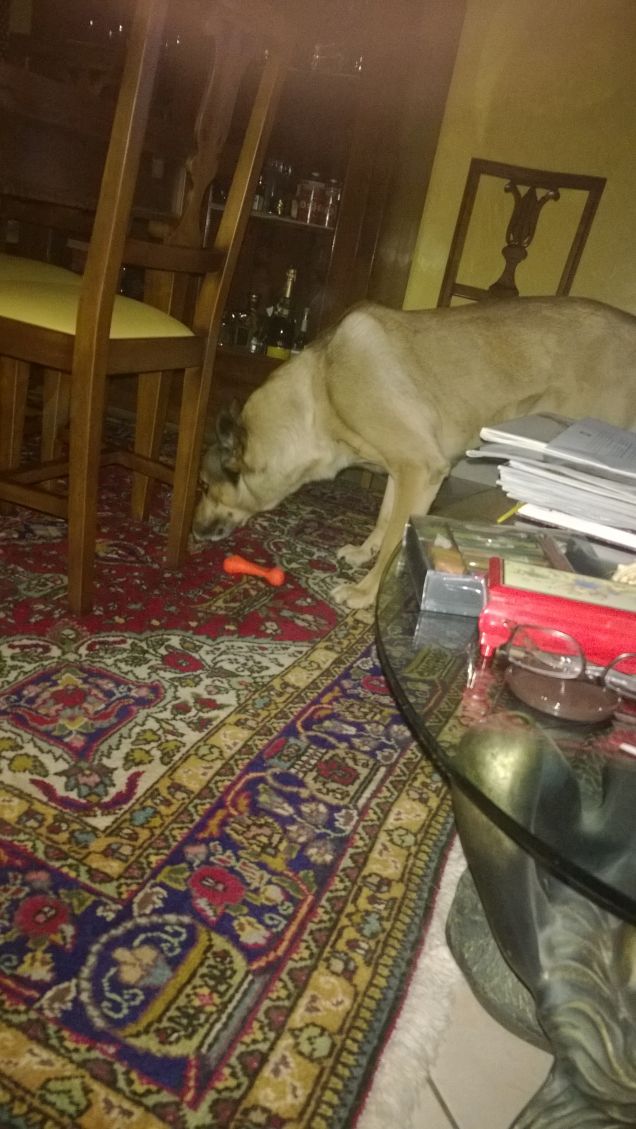 giocando di sera bel tempo si spera.