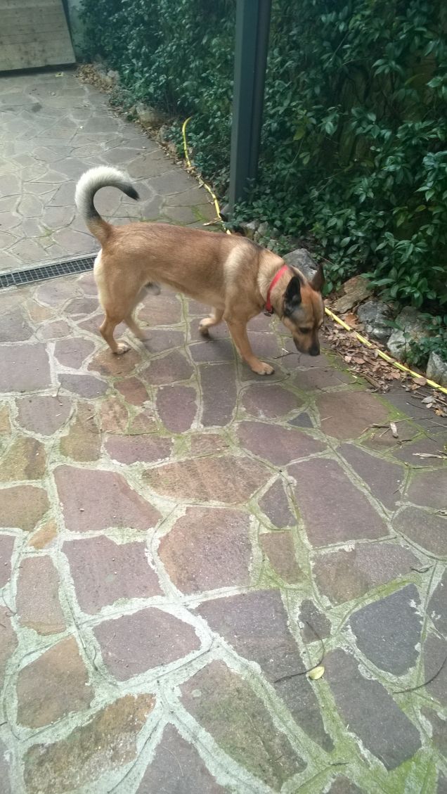 La vita è in salita.