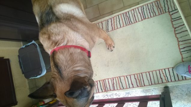 Non tutte le foto vengono bene