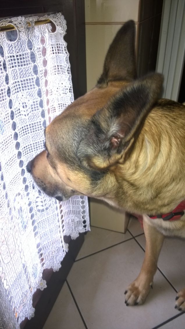 Non c'è niente da guardare