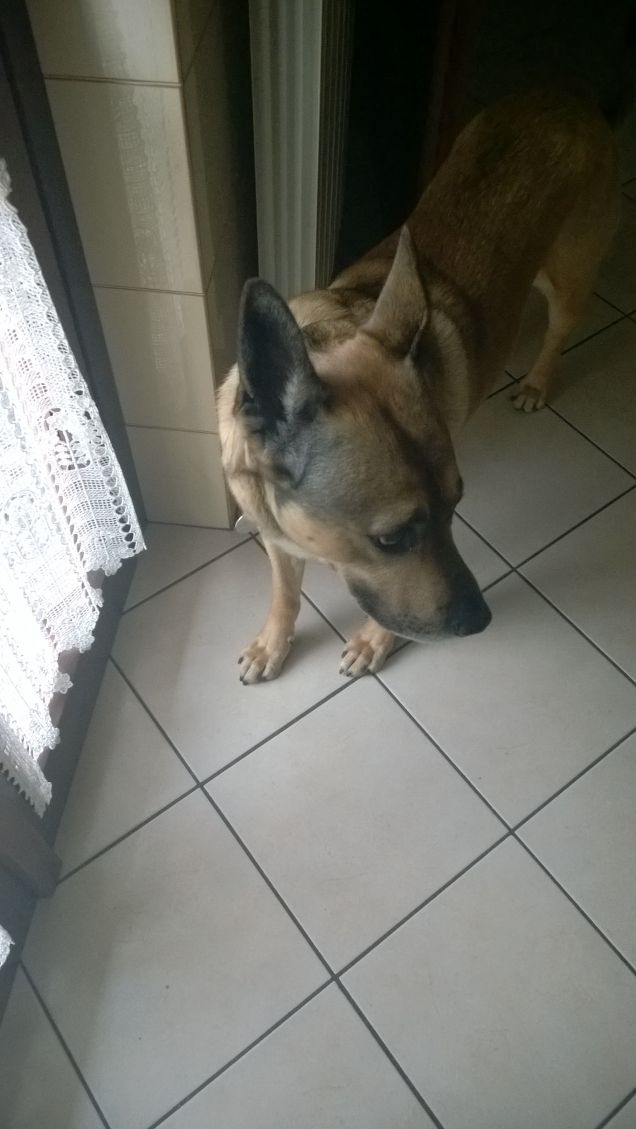 Una bella giornata piena di sorrisi.