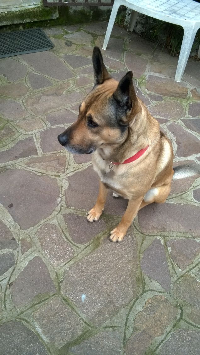 Ne ho avuti tanti e lui è il più bello.