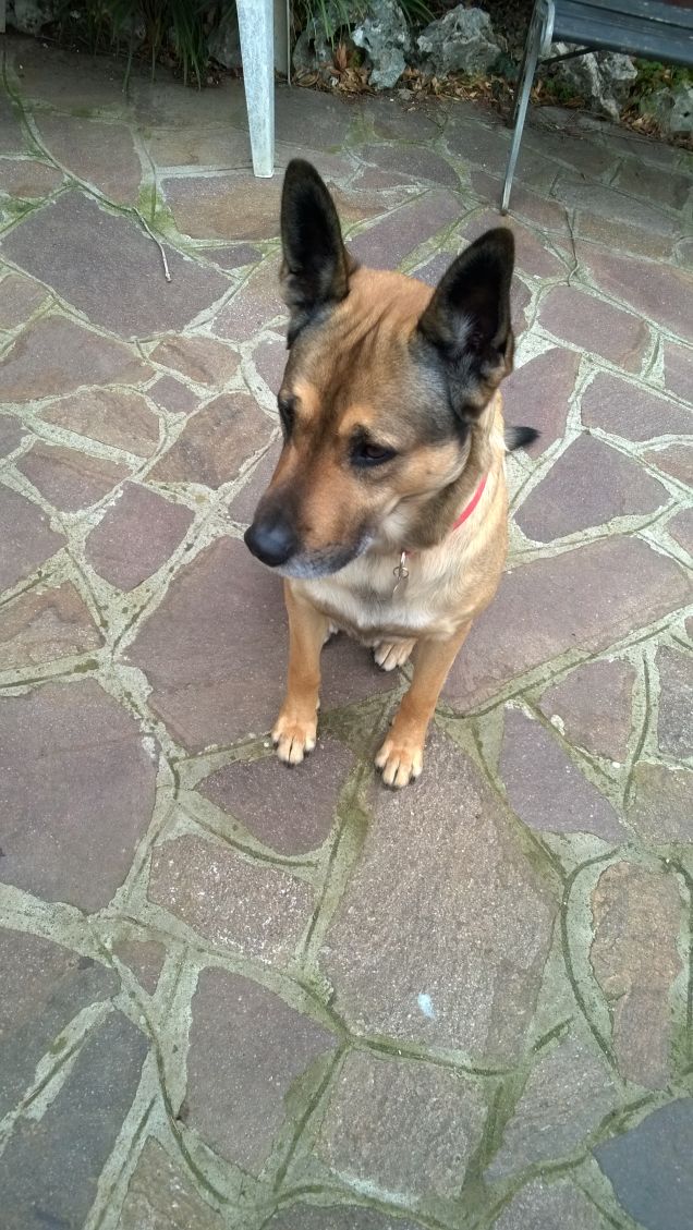 Sarà dura l'avventura.