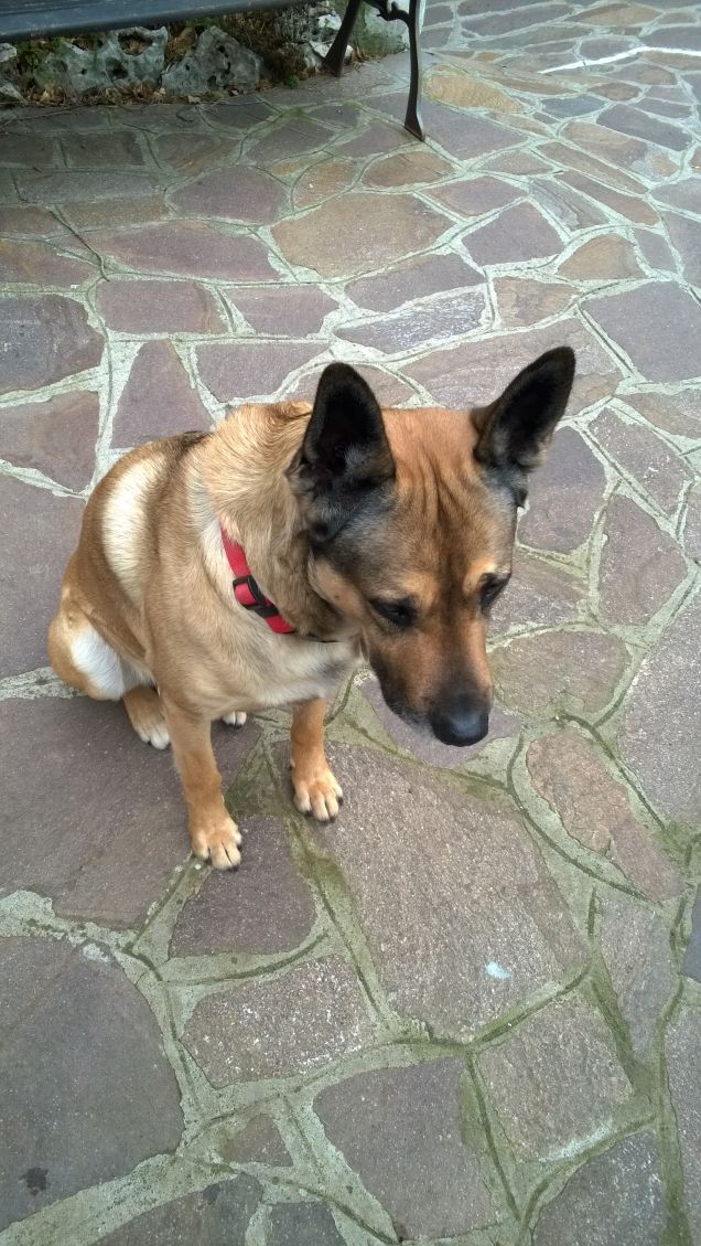 A noi piacciono le sfide.