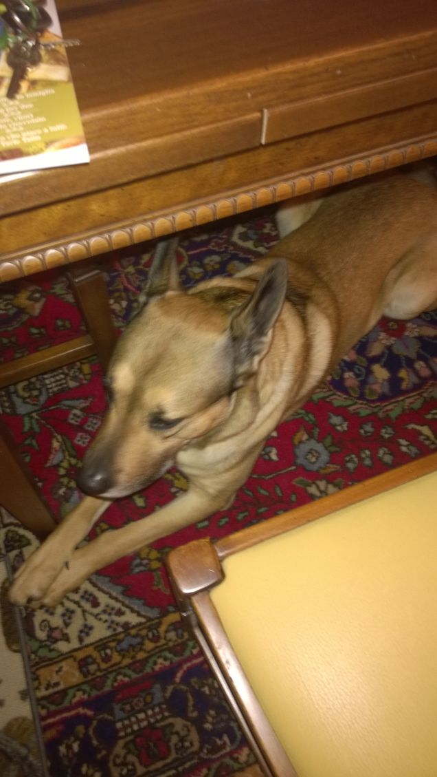 Obiettivo raggiunto.