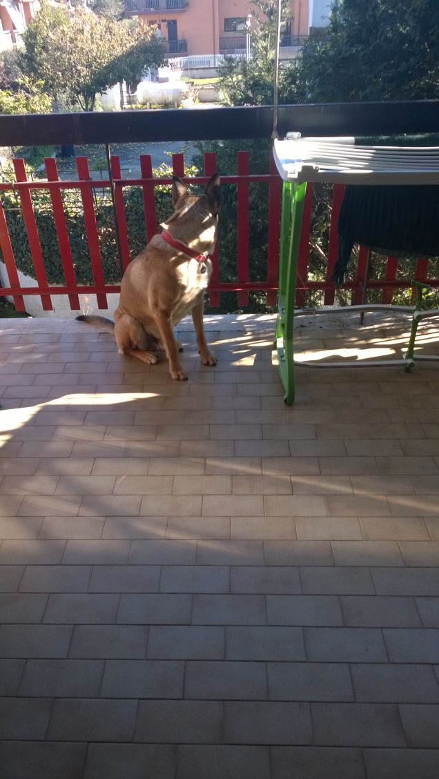 E anche oggi abbiamo il sole.