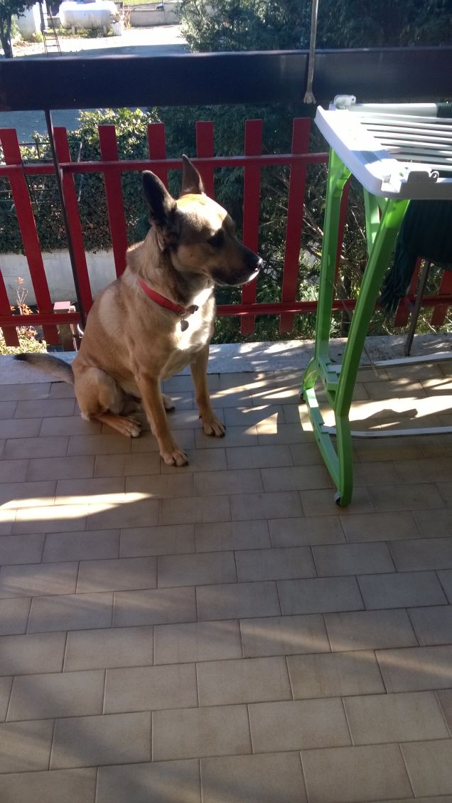 Panorama mozzafiato.