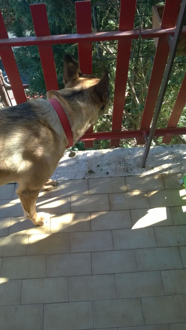 Guardiamo cosa c'è laggiù.