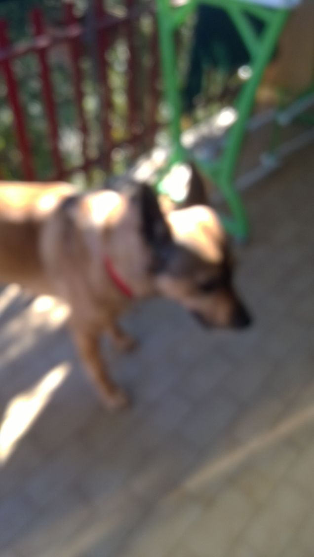 La messa a fuoco non ha funzionato...riproviamo.