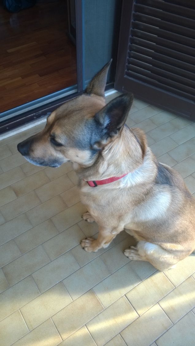 Chi tardi ariva, male alloggia.