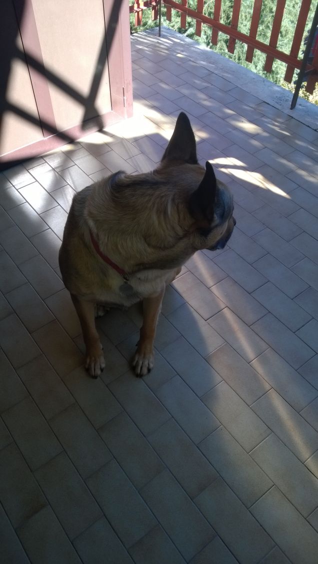 Porta aperta pè chi porta, chi nun porta parta pure Proverbio Romano.