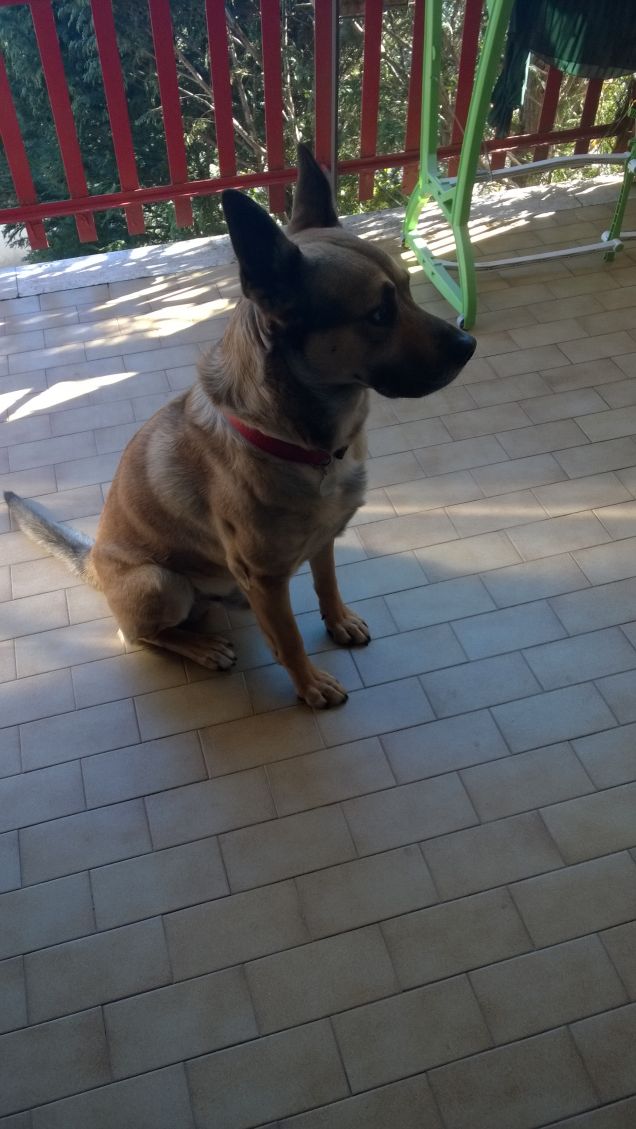 L'erba der vicino... s'a cura da solo.