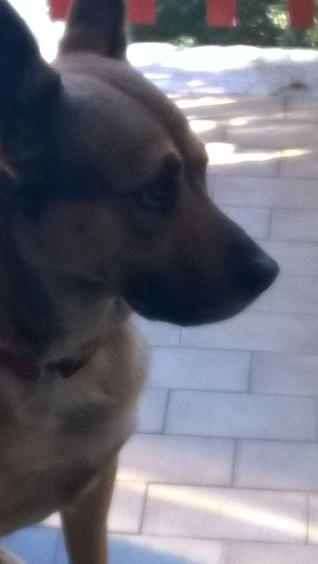 Roma fu fatta un po' pé' vorta.