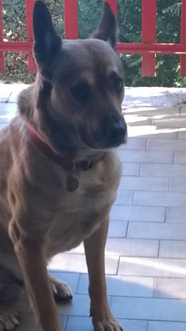 Li mejo bocconi sò der còco. I bocconi migliori sono del cuoco.