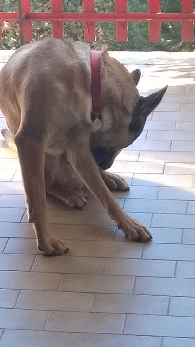 Quann'è vvizzio nun è ppeccato. Quando è un vizio non è peccato proverbio romano.