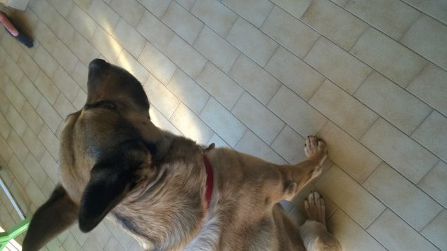 A Roma pe' fa fortuna ce vonno tre d, donne, denari e diavolo. Proverbio romano.