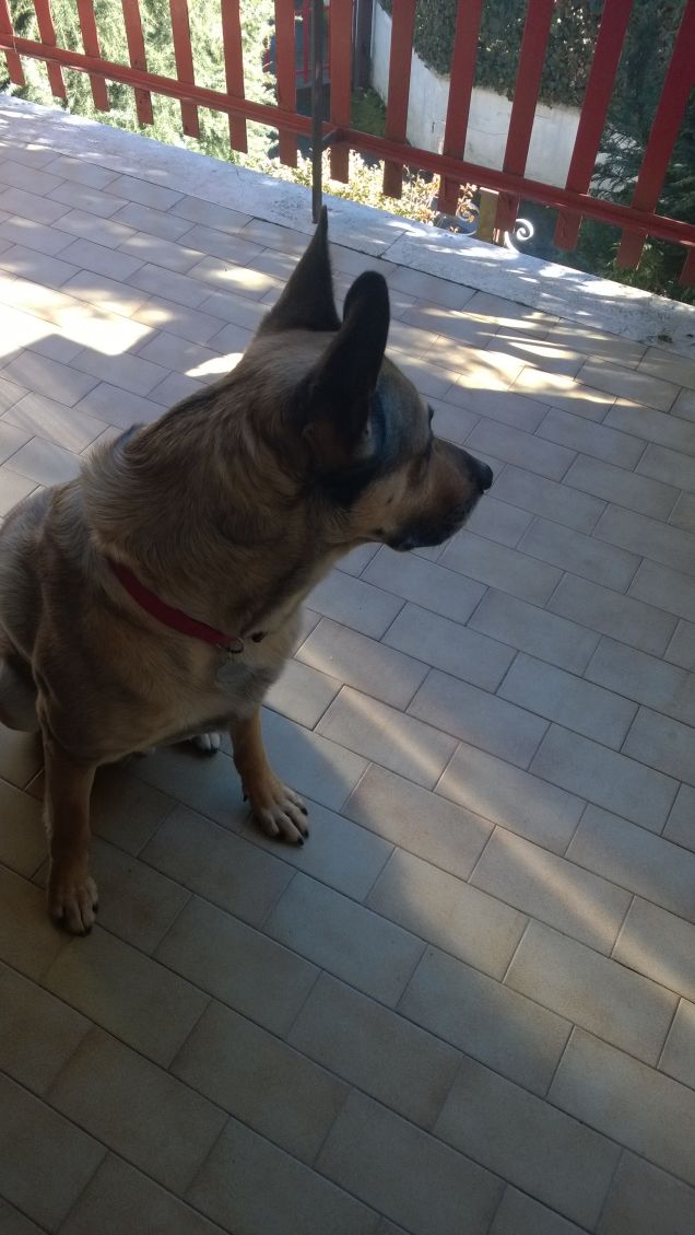 Li sòrdi che ariveno co' er trallarallà se ne rivanno cor lallerallero. Proverbio romano