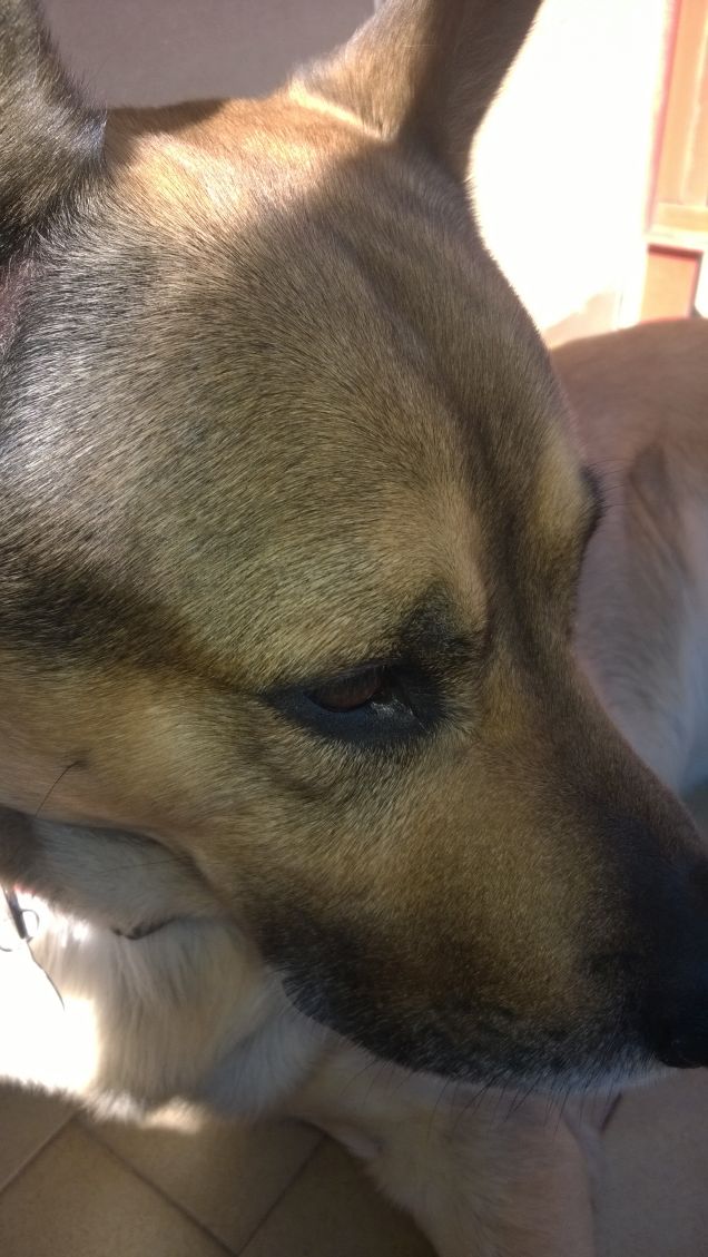 Anch'io ho i miei pensieri.