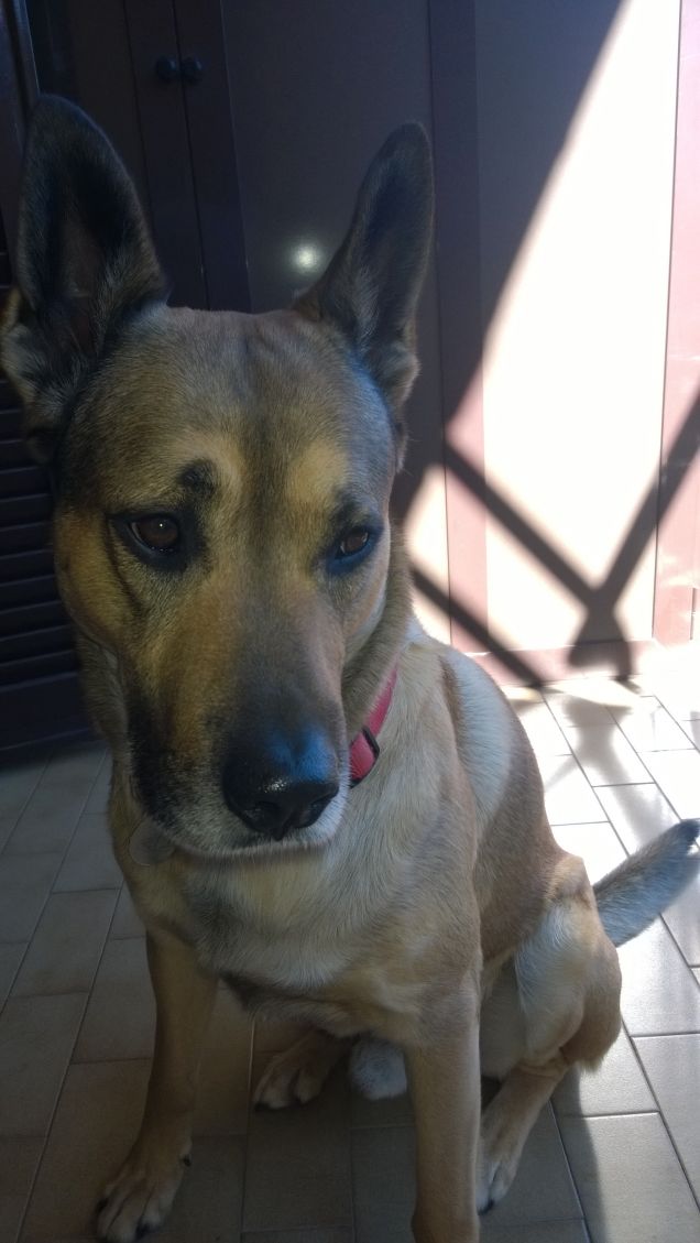 Chi l'avrebbe mai detto.