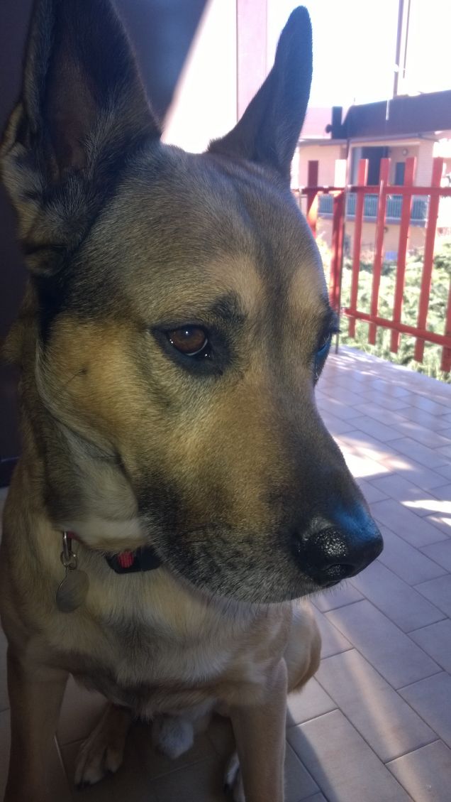 Come si fa a fermare il tempo.