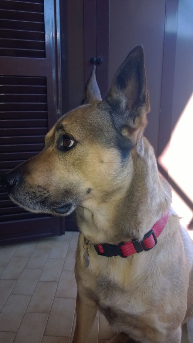 Voglio fermare il tempo.